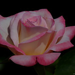 I would come home from a climbing expedition and find it hard to describe....