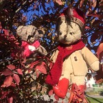 Paddington, Scout and the Red Leaf Tree