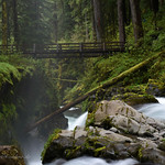 Washington State, Olympic Park