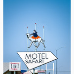 Motel Safari
