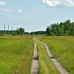 Country Roads, July 2022.