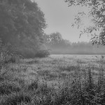 Shimmering morning dew, haze in the far