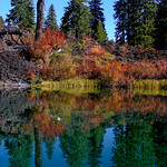 Reflections at Clear Lake