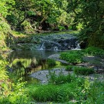 Yesterday's Swimming Hole