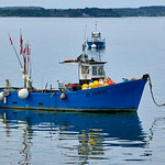 &laquo; La Boh&egrave;me &raquo;