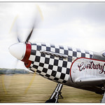 Mustang Pilot. This guy looks so cool - I just hate him! Mark Levy - a great aviator of our time.