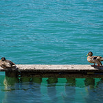 let's make an attempt to flirt