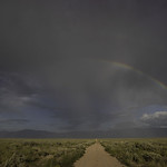 Follow the yellow brick road