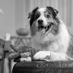 Keep your head down, Garth Gator