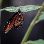 Back To Business (2)