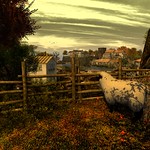 Frogmore Autumn Grove Photo Contest 2022 Entry 2 Serenity2021 Resident