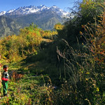 Before winter comes....