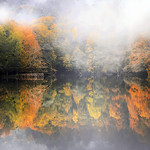 Sonbahar ve Sis (Autumn and Fog)