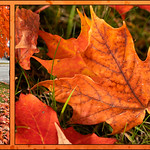 Canadian Thanksgiving Weekend