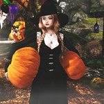 getting ready for halloween