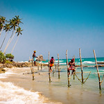 Stilt Fishing, Sri Lanka
