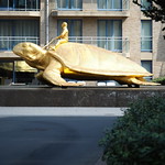 Searching for Utopia (Jan Fabre)