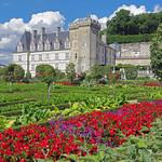Ch&acirc;teau de Villandry : le Potager Renaissance