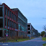 It's The End of the World As We Know It (And I Feel Fine)