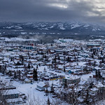 Whitehorse