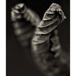 a tender embrace or wicked intent?