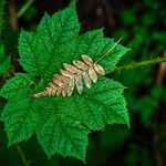 Devils in the details