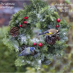 Festive Greeting to all on Flickr