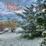 Holiday Wishes