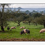 Buena compa&ntilde;ia.....Good company....