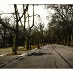 Empty Path Riverside Park