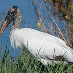 Showing off his good side