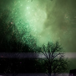 The First Night fire works shower