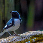 Looking Good Today (2)