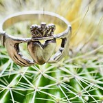 Loyalty despite "prickles"