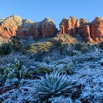 Snowy First Light - Sedona
