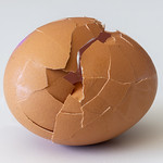 Macro Mondays - Single Use