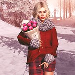 Peonies in the winter