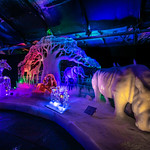 Eisskulpturen Festival Zwolle NL 2022-23