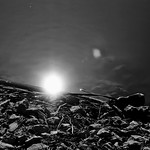 reflection on the waters edge