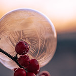 good morning, have a great weekend