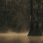 Touched by the light