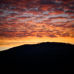 Septuagesima Sunday MMXXIII