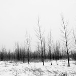 Champ L'Assomption 7