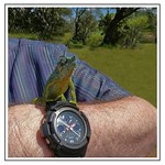 Kenya - This little fellow likes my watch.