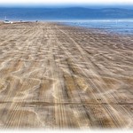 PATTERNS IN THE SAND