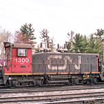 Lucky Thirteen Snake Eyes