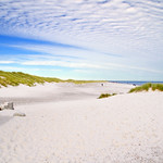 Grenen