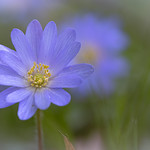 Good morning, have a wonderful weekend