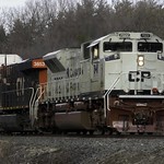 CP 231