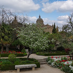 Primavera